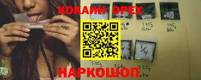 крисы Камышлов