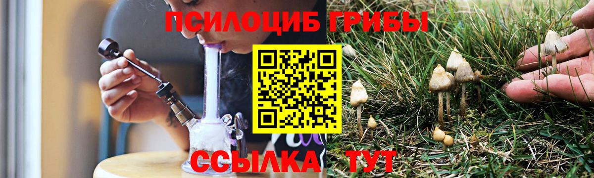 Псилоцибиновые грибы мицелий Кимовск