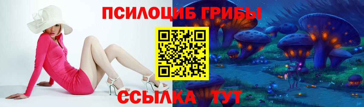Кимовск  Галлюциногенные грибы мицелий  Вход с VPN  Псилоцибиновые грибы MAGIC MUSHROOMS 