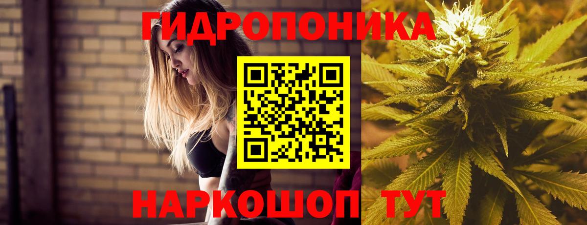 Конопля семена  Вход с VPN  Каннабис планчик  Кимовск 